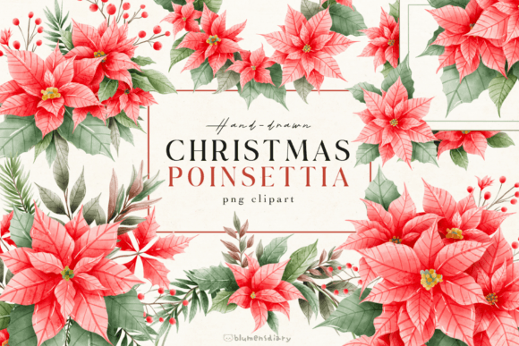 Watercolor Christmas Poinsettia: A Designer’s Review for Seasonal Branding